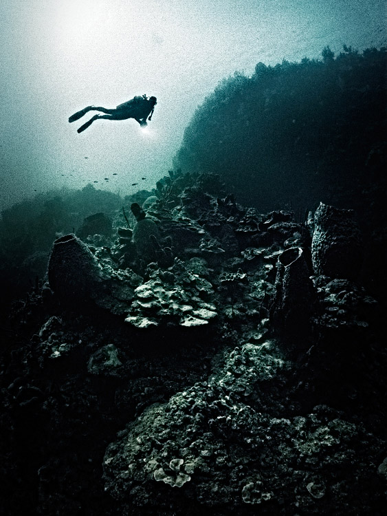 personal cayman islands, underwater photography