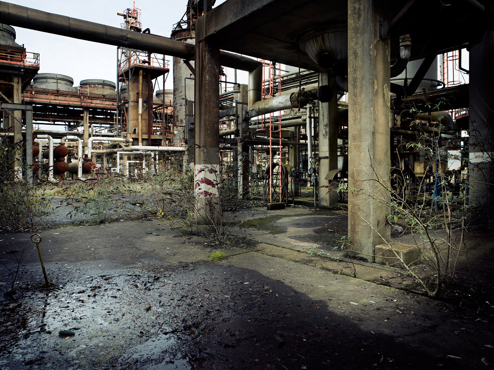 personal milford haven photography