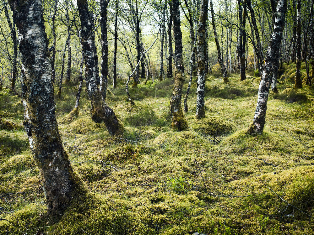 personal north northwest photography