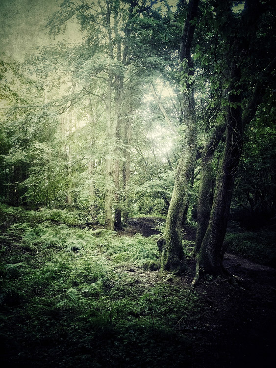 personal iphoneonly photography