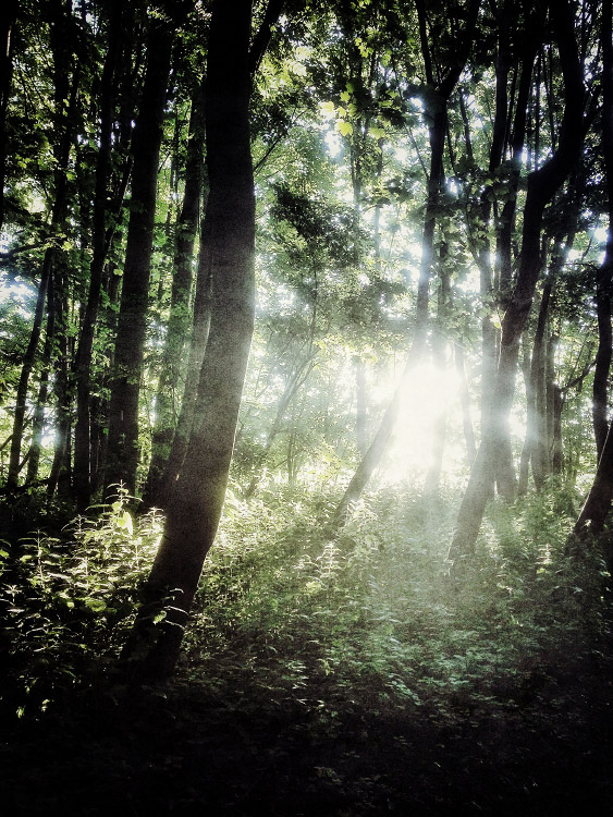 personal iphoneonly photography