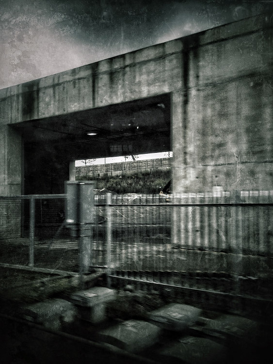 personal iphoneonly photography