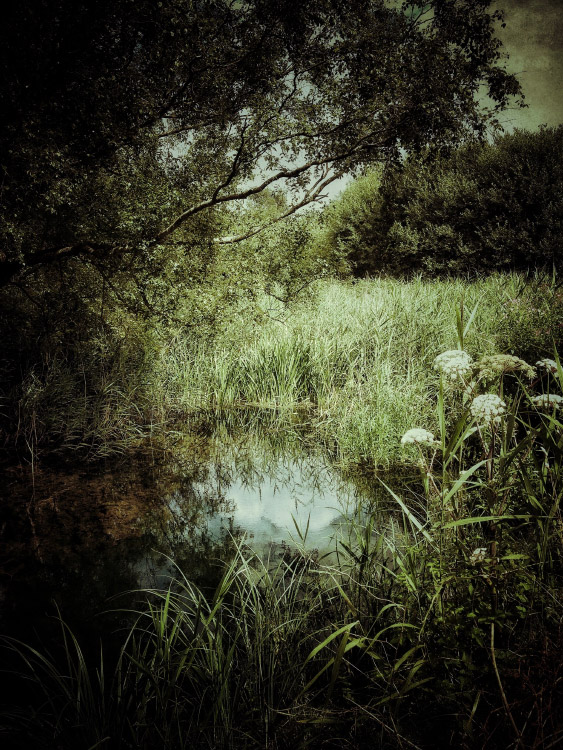 personal iphoneonly photography