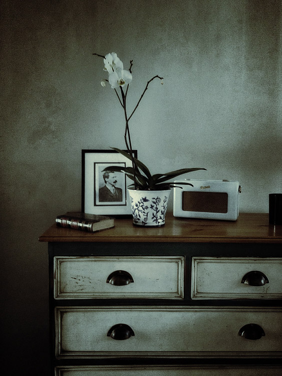 personal iphoneonly photography