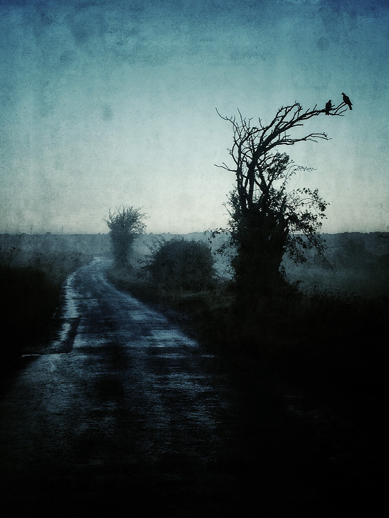 personal iphoneonly photography