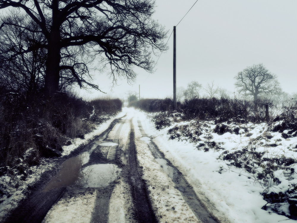 personal close to home photography