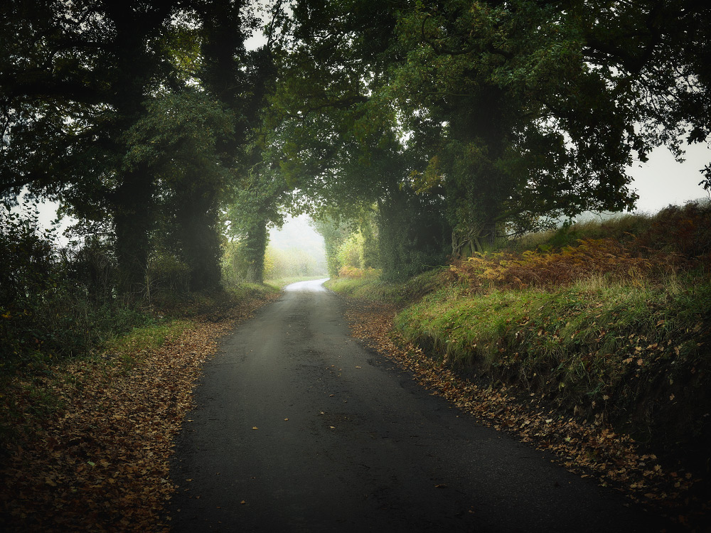 personal close to home photography