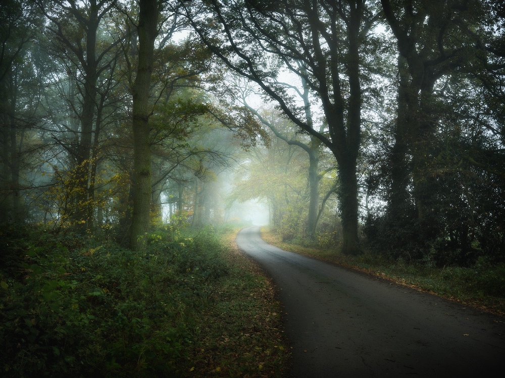 personal close to home photography