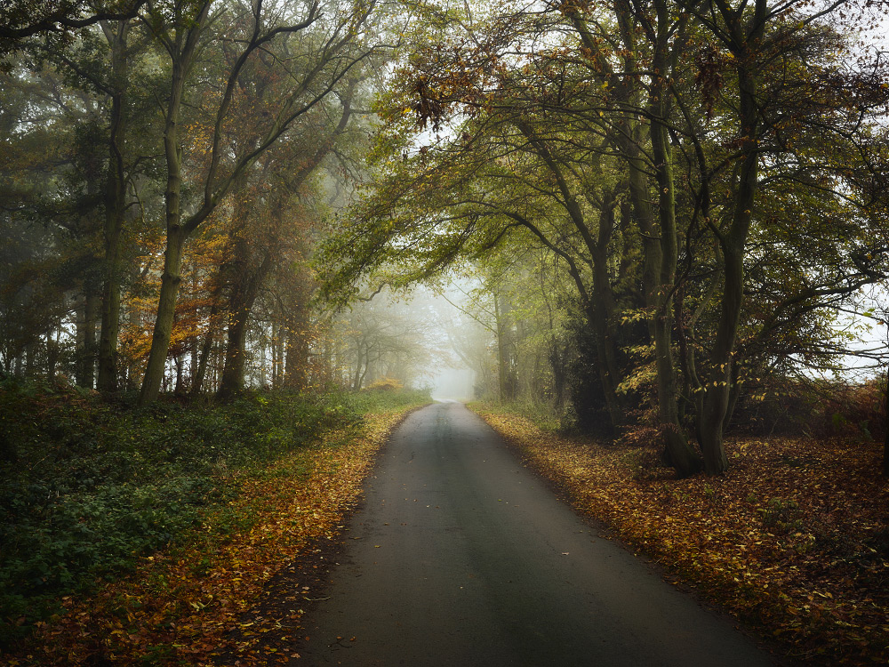 personal close to home photography