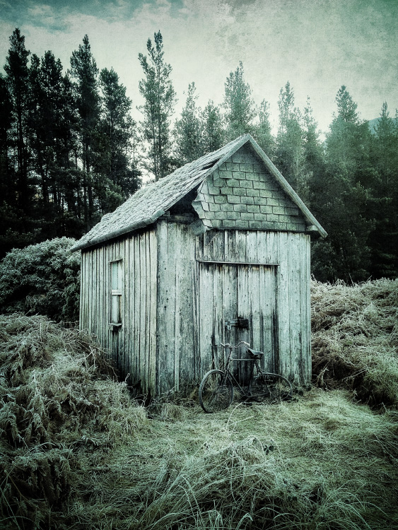 personal iphoneonly photography