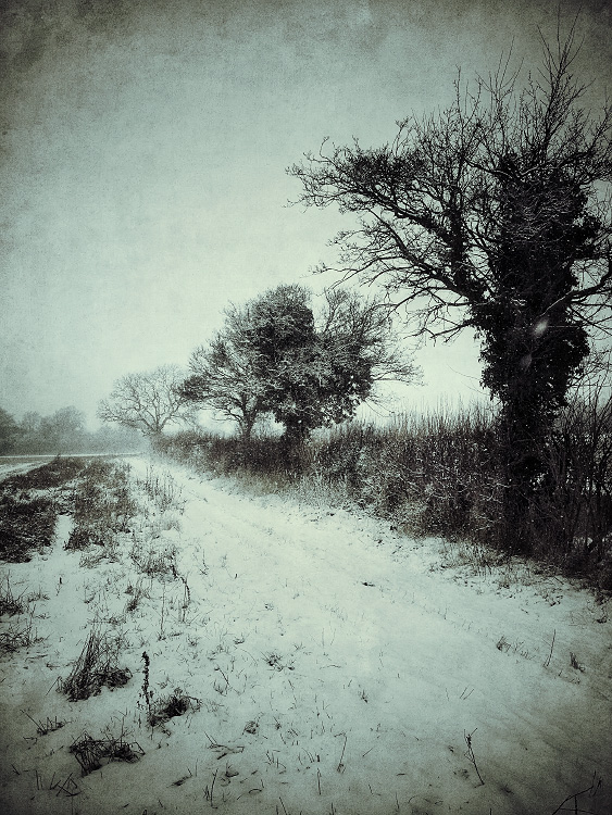 personal iphoneonly photography