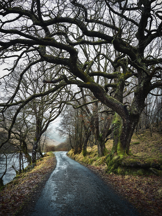 personal north northwest photography