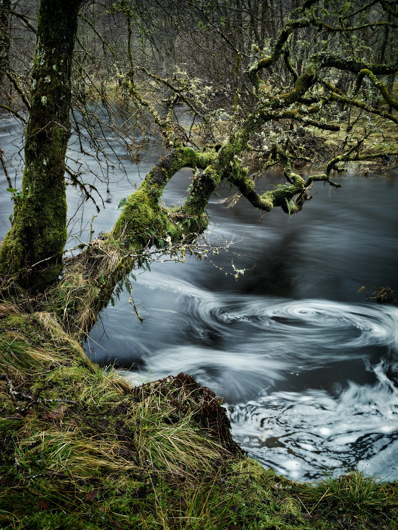 personal north northwest photography