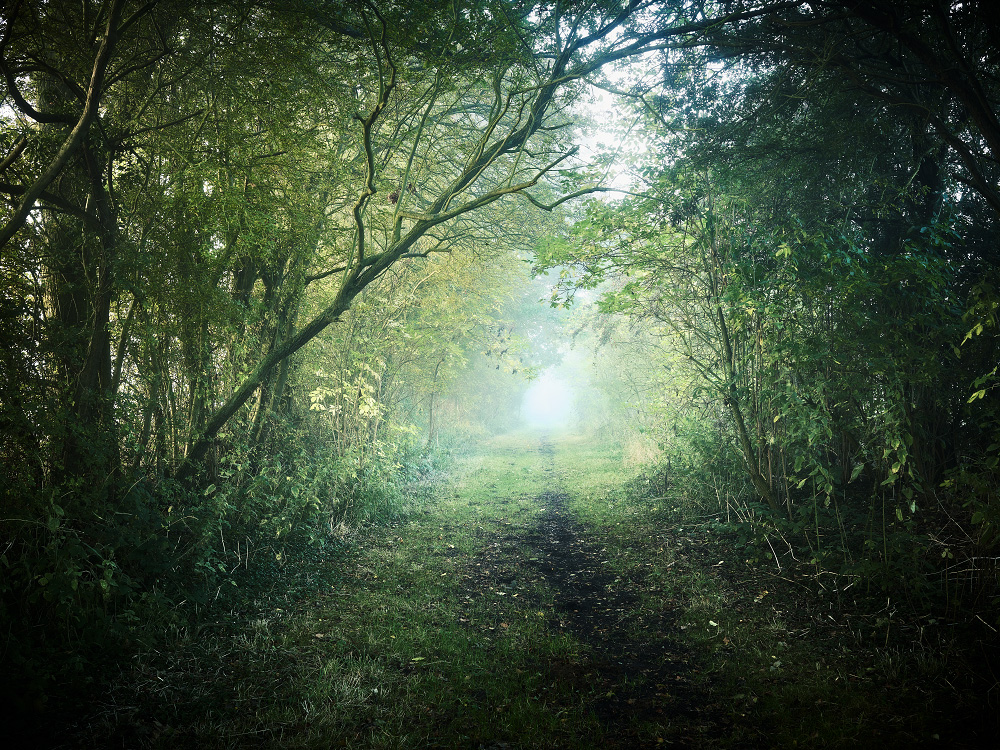 personal close to home photography