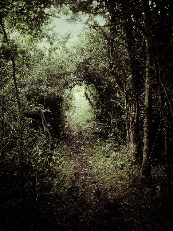 personal iphoneonly photography