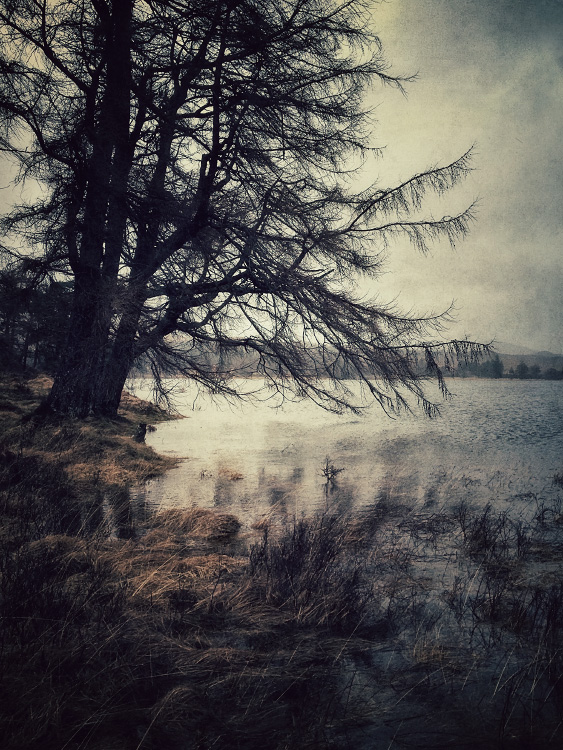 personal iphoneonly photography