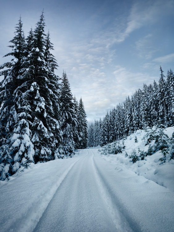 commissioned landscapes photography