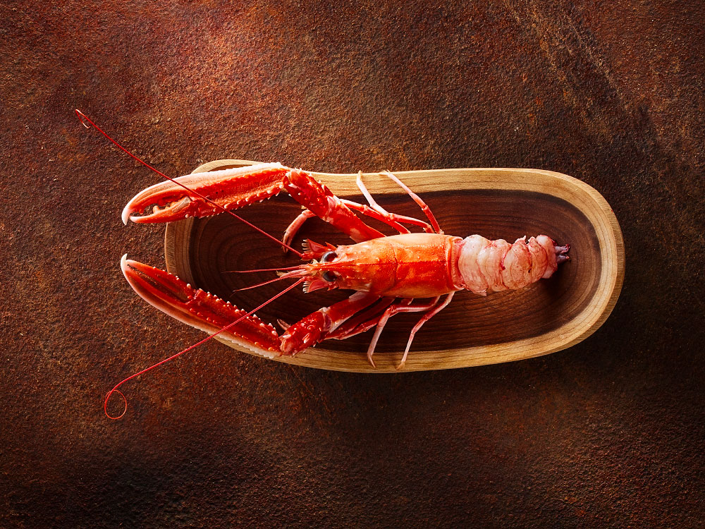 stories Land Rover, Faroe Islands photography