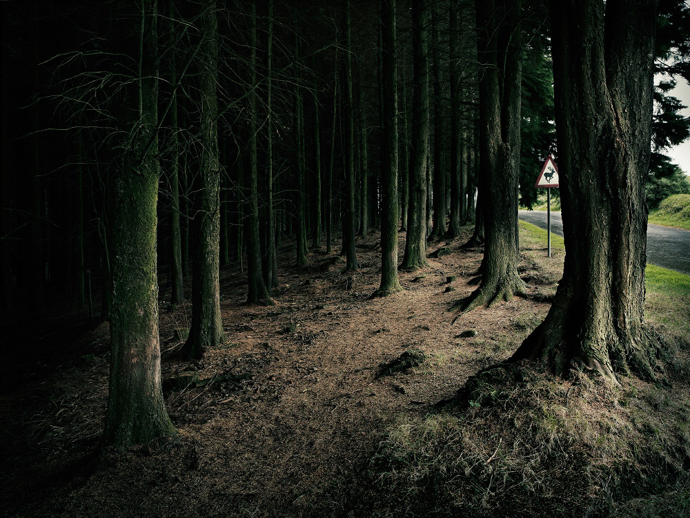 commissioned landscapes photography