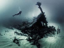 personal bermuda, underwater photography