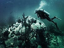 personal bermuda, underwater photography