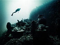 personal cayman islands, underwater photography