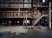 personal milford haven photography