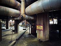 personal milford haven photography