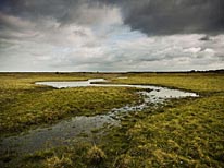 personal norfolk photography