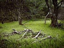 personal north northwest photography