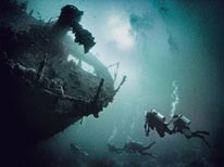 personal red sea, underwater photography