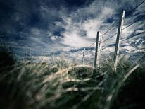 commissioned landscapes photography