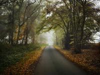 personal close to home photography