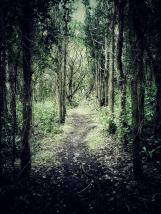 personal iphoneonly photography