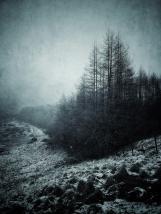 personal iphoneonly photography