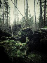 personal iphoneonly photography