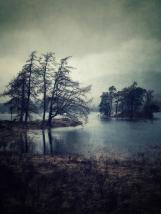 personal iphoneonly photography