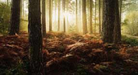 commissioned landscapes photography