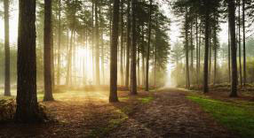 commissioned landscapes photography