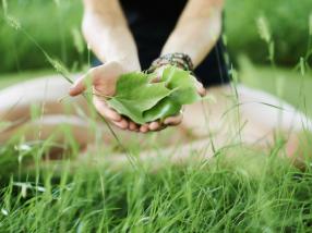 stories Green Serene photography