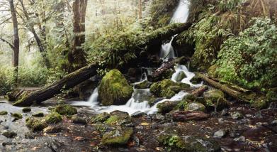 personal The Pacific Northwest photography