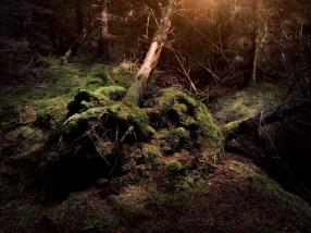 personal north northwest photography